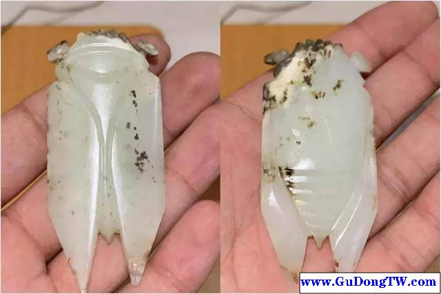 古董玉蟬：源自遠古的古老崇拜，隨葬含於逝者口中，寓意如蟬羽化重生！